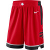 NBA Toronto Raptors Icon Edition Swingman Shorts