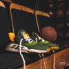 adidas Pro Bounce 2019 Low ''Legend Earth''