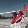 adidas Pro Bounce 2019 ''Scarlet''