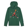 Air Jordan Essentials Kids Fleece Hoodie ''Noble Green''