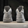 Air Jordan Retro 5 ''Take Flight'' Tripple White