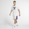 Nike NBA LA Lakers Swingman Shorts ''White/Purple''