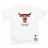 M&N Wild Life Chicago Bulls T-Shirt ''White''