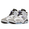 Air Jordan Retro VI "Flint Grey''