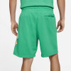 Air Jordan Sport DNA Shorts ''Stadium Green''