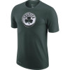 Nike NBA Boston Celtics Chrome Logo T-Shirt ''Pro Green''