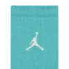 Air Jordan Flight Basketball Crew ''Hyper Jade''